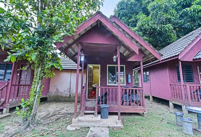 בית מלון כפרי Spot On 90619 Mahseer Hostel