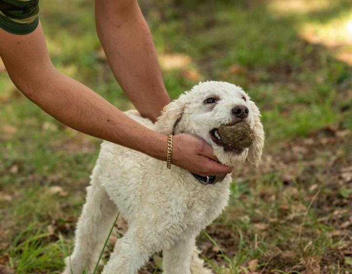 酒店 Tenuta Cascina Marenco