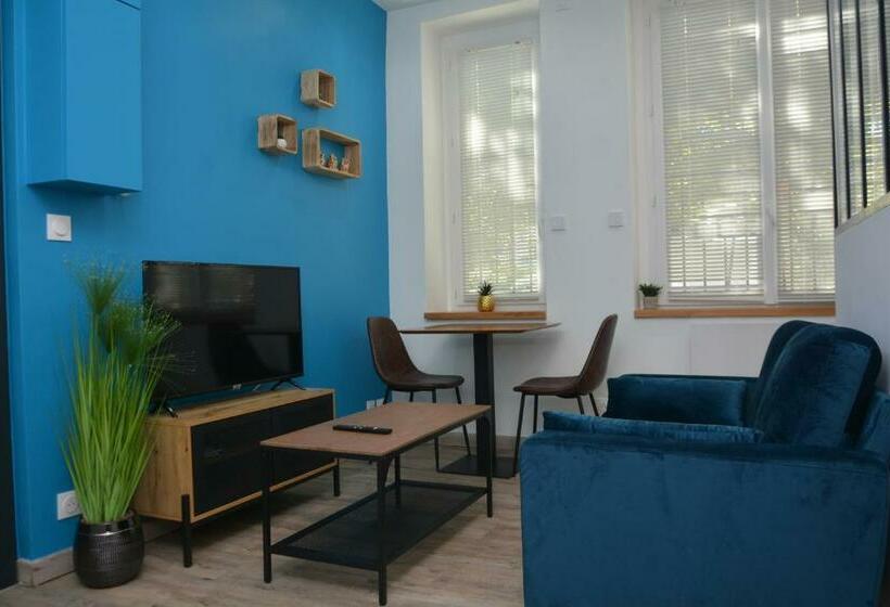 Magnifique Et Cosy T1 En Centre Ville