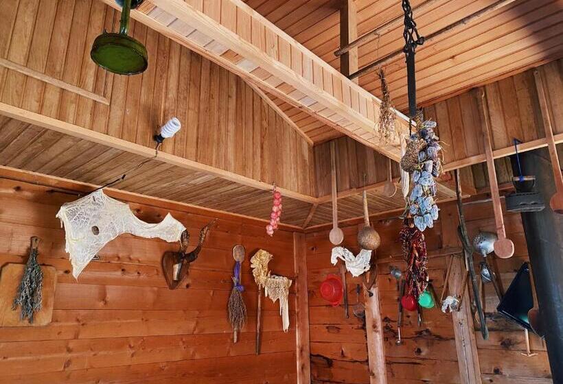 پانسیون Matua Guest House