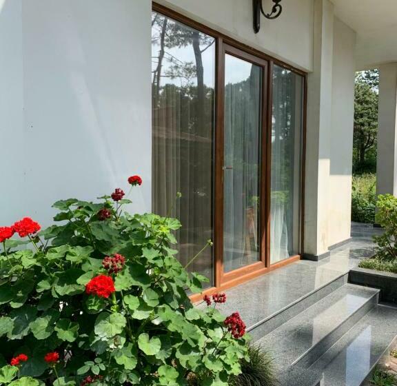 پانسیون Mayak Shekvetili