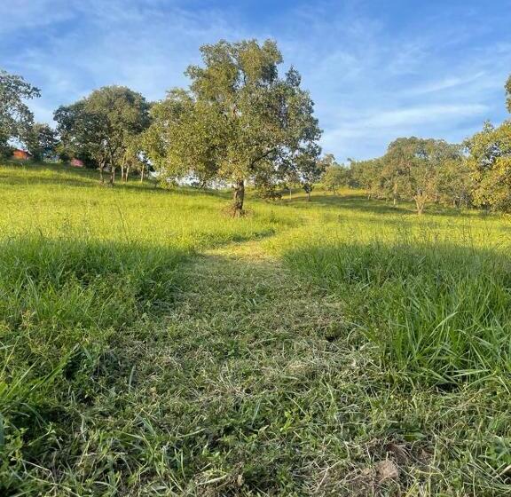 펜션 Sítio Barriguda