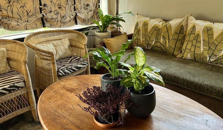 A Bird Cage Stay & Cottage