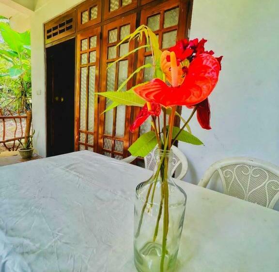 ベッドアンドブレックファースト Dreamy Stay Ella