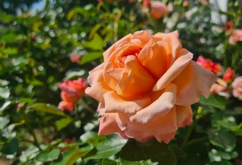 مبيت وإفطار Room Lover Les Chaizes