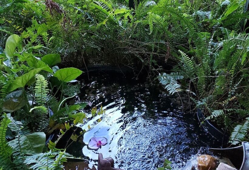 Cedar Oaks Inn The Birdcage Saloon