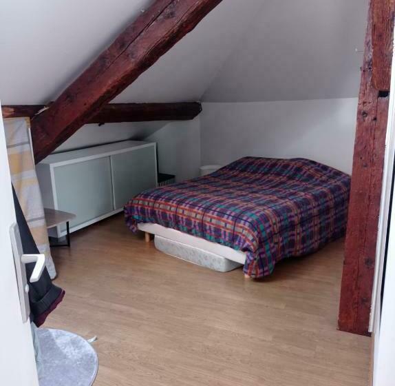 Cocon Centre Historique