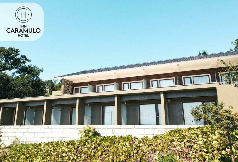 酒店 Inn Caramulo
