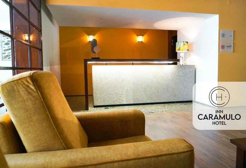 酒店 Inn Caramulo