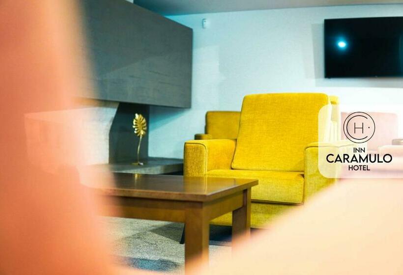酒店 Inn Caramulo