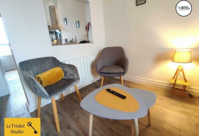 Le Triskel Studio   Un Chez Soi Proche De La Gare