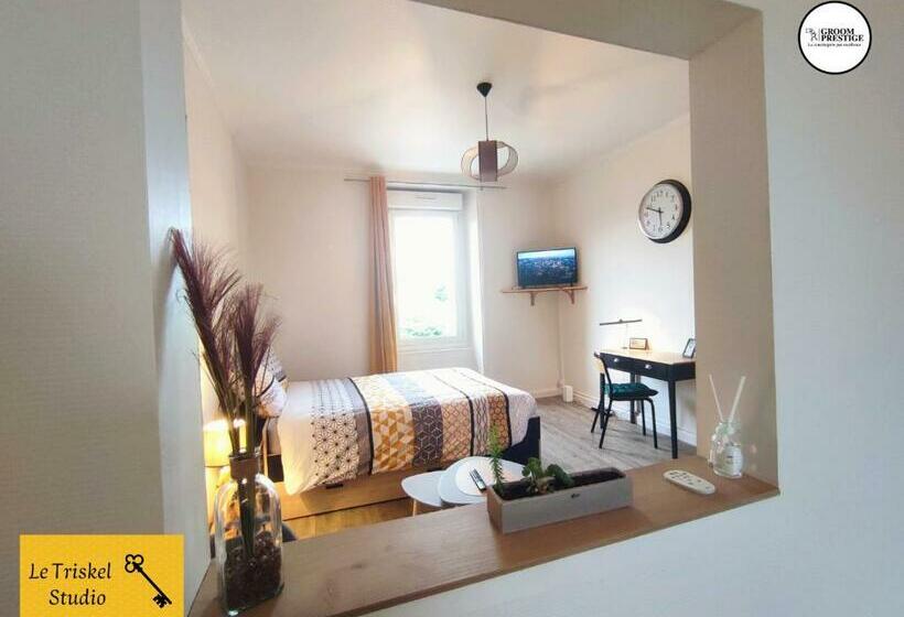 Le Triskel Studio   Un Chez Soi Proche De La Gare