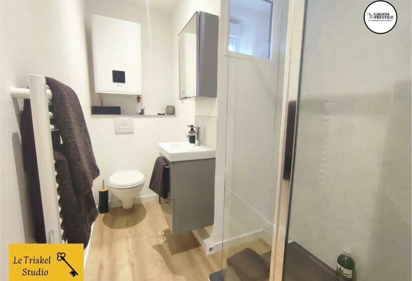 Le Triskel Studio   Un Chez Soi Proche De La Gare