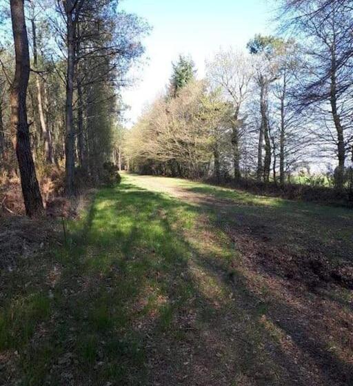 Mobil Home Au Coeur De Brocéliande