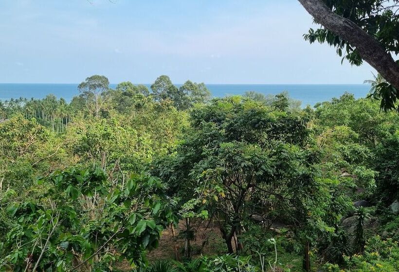 Pawpaw Resort