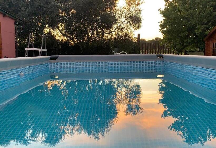 پانسیون Camera Graziosa