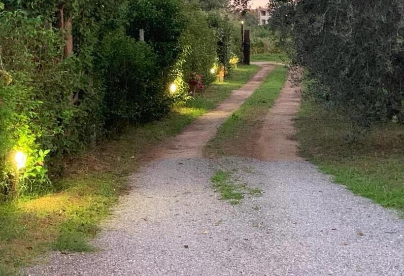 پانسیون Camera Graziosa