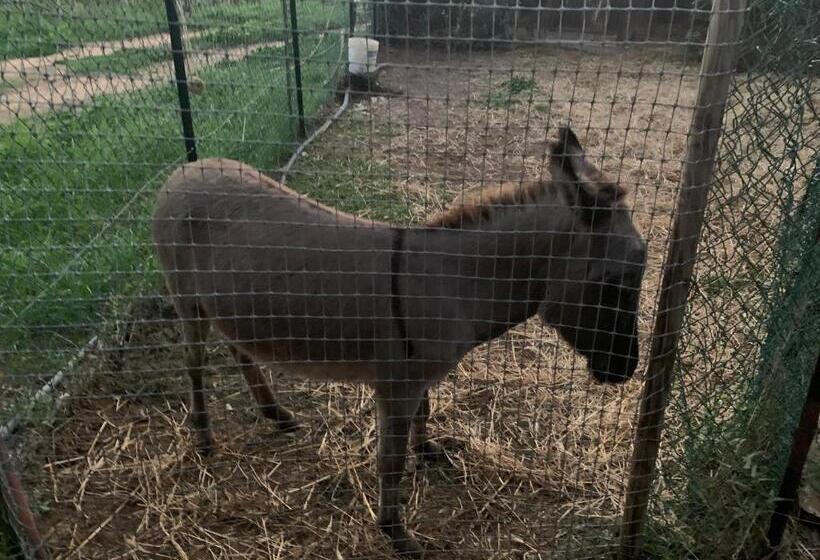 پانسیون Casa Nel Verde Orbetello