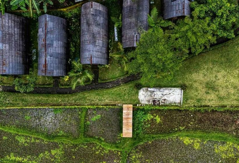 بنسيون Omah Bapak Ijen Eco House