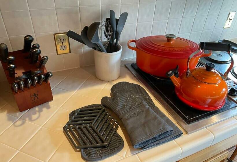 Rebel Ranch Medicine Bow National Forest