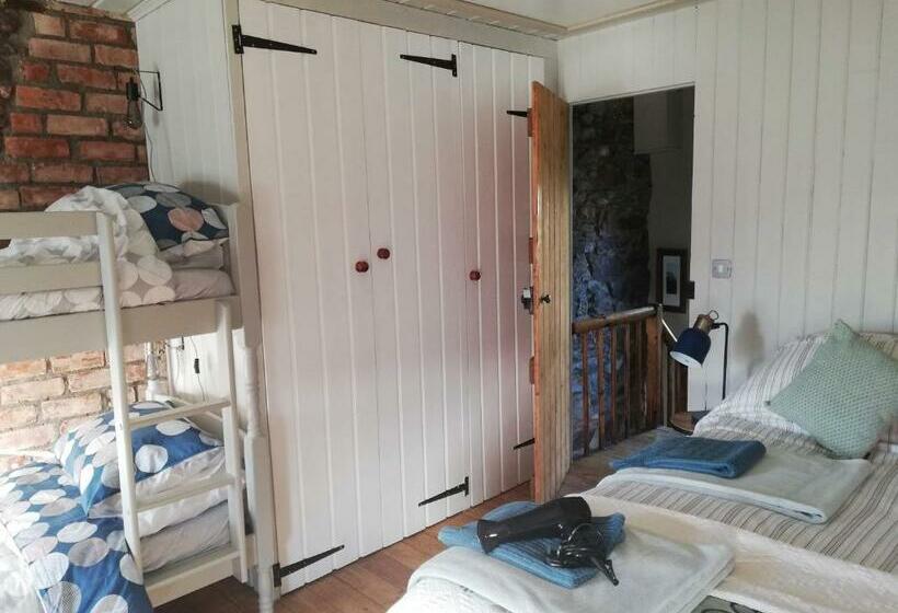 Shoe Trader S Terrace