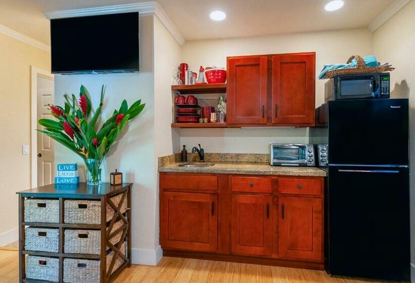 Sp119b   Adorable, Affordable Studio, With Pool And Hot Tub, New Bed!