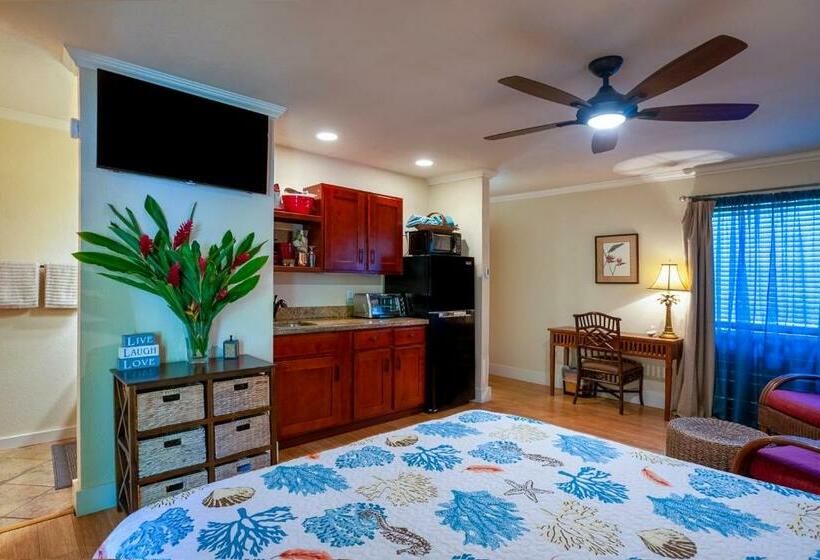 Sp119b   Adorable, Affordable Studio, With Pool And Hot Tub, New Bed!