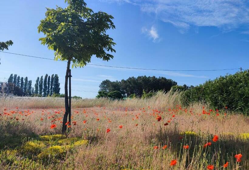 Le Petit Pré écolo