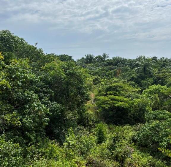 Vivenda Boipeba   Linda Casa Na Ilha Mais Paradisíaca Da Bahia
