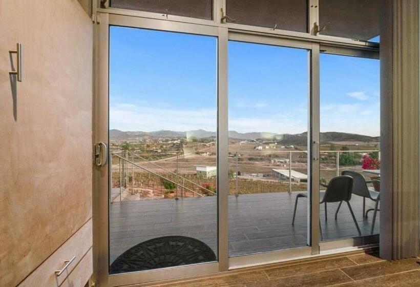 Buena Vista Valle De Guadalupe