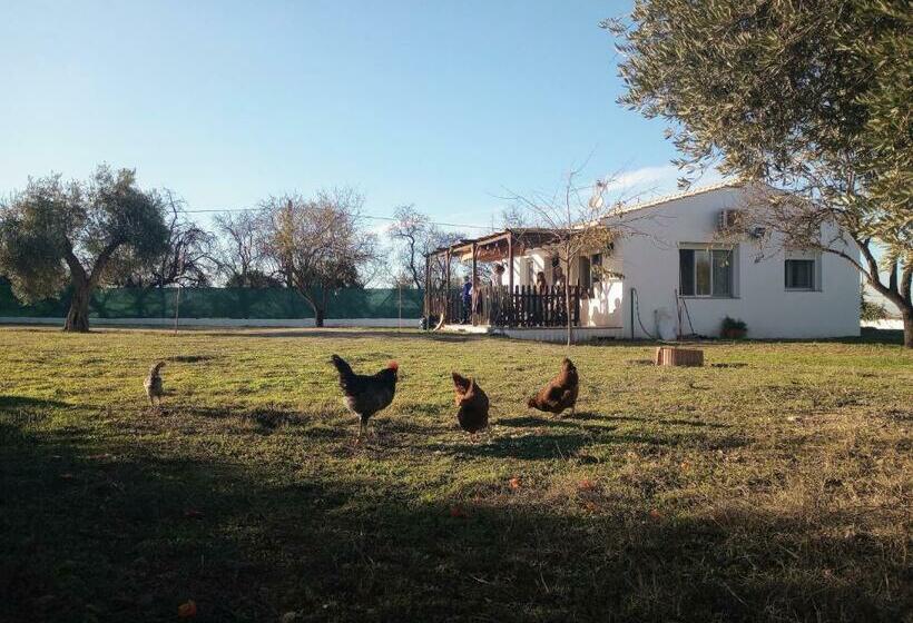 Casa De Campo Los Manueles Ideal Perros Pet Friendly