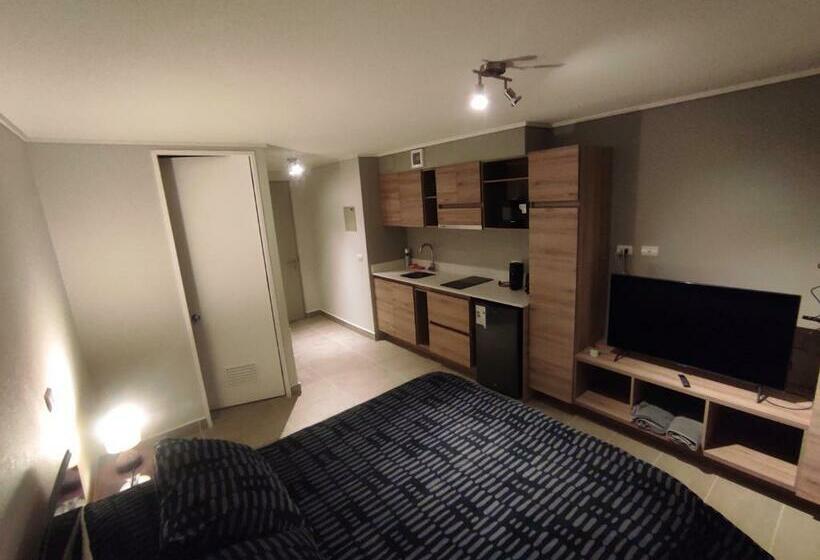 Departamento Estudio En Pleno Centro De Temuco