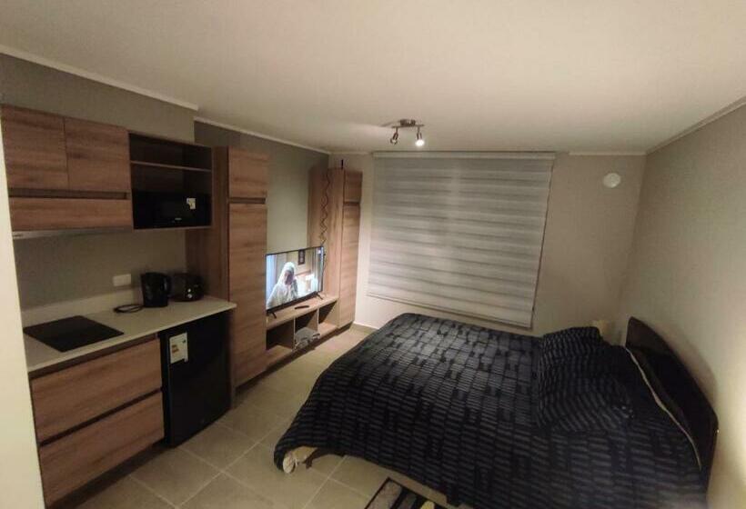 Departamento Estudio En Pleno Centro De Temuco