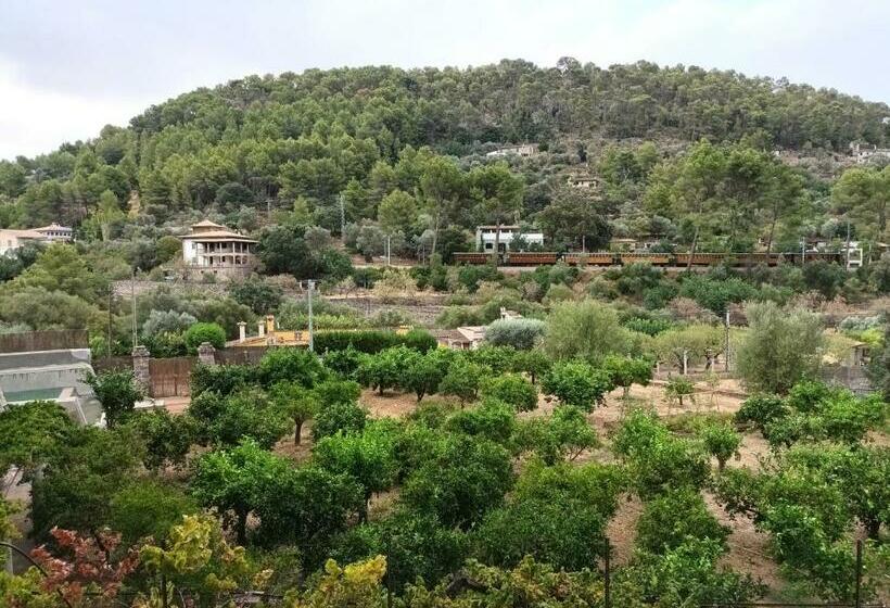 Finca Puig De Ses Llebres