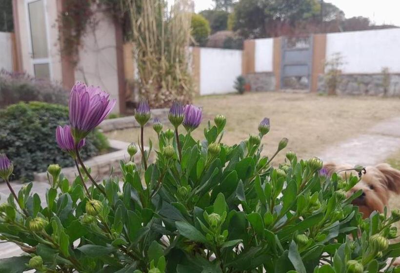 Moderna Casa Con Excelente Ubicación En Valle Hermoso