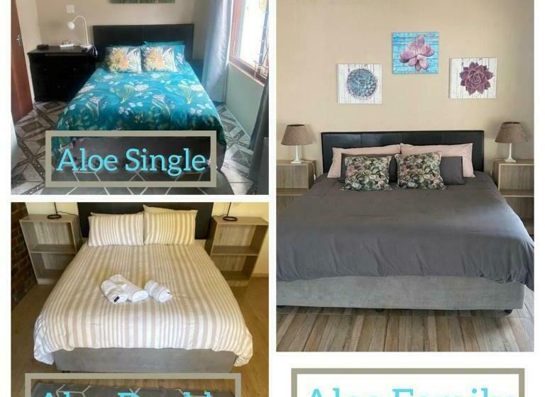 膳宿费 Aloe Guest Rooms