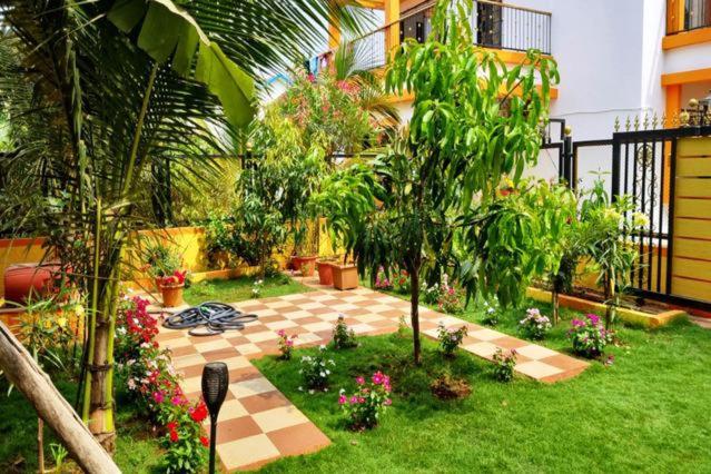 بنسيون Diamond Cottage