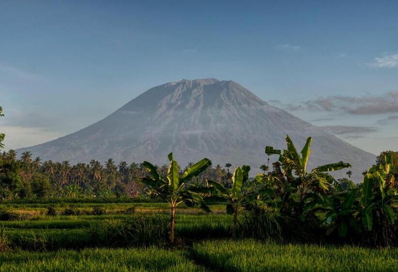 פנסיון Secret Moon Beach House