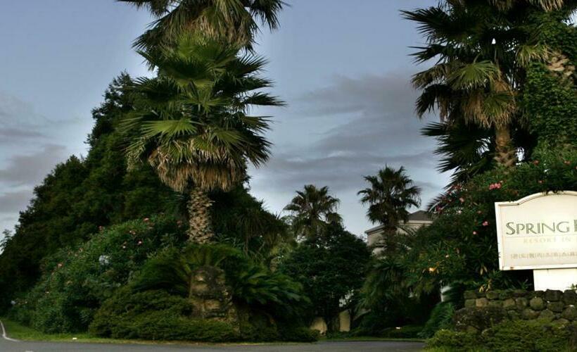 Springhill Resort