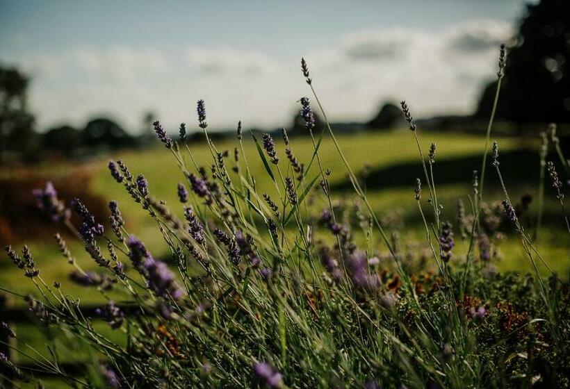 Vicarage Farm Cottages