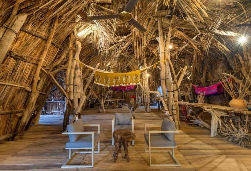 酒店 Bethel Playa Mayapo