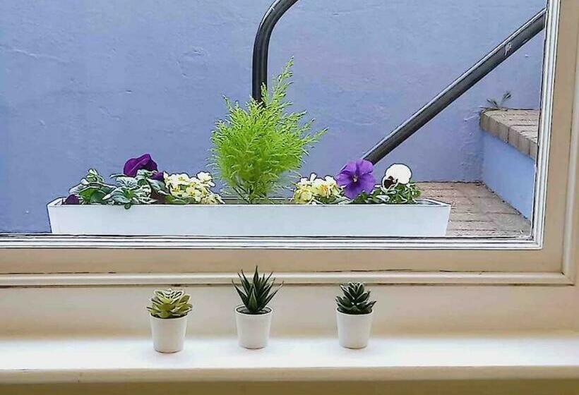 Little Gem In Kemptown Brighton