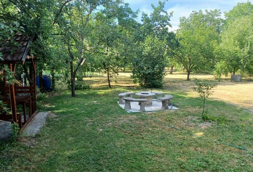 פנסיון Fülöpsziget Vendégház