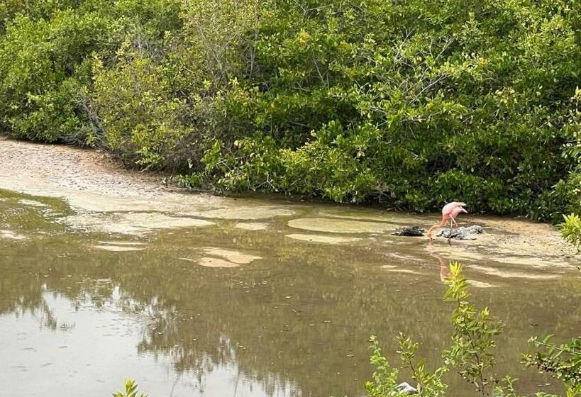 פנסיון My House