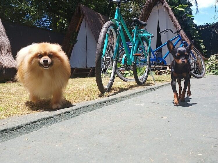 Пансион Tropical Casa Ubatuba