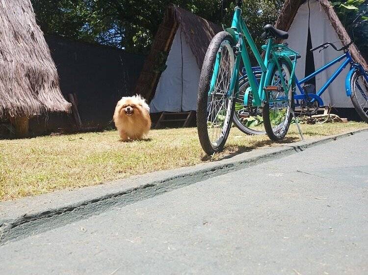 Пансион Tropical Casa Ubatuba