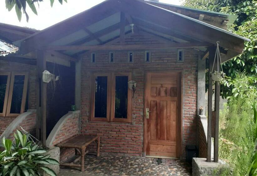 بنسيون Jhony S Backpacker Guest House Only Stay Here Book Treking With Us