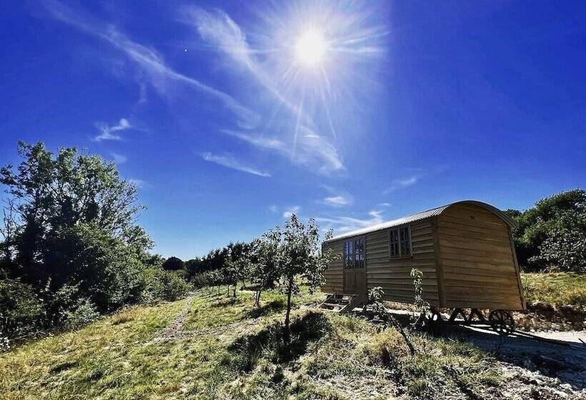 Robins Retreat   Orchard With Hot Tub   See Extras