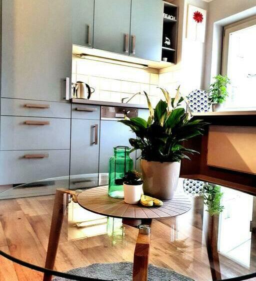 Rostock Hautnah Erleben   Schöne Maisonette 2og