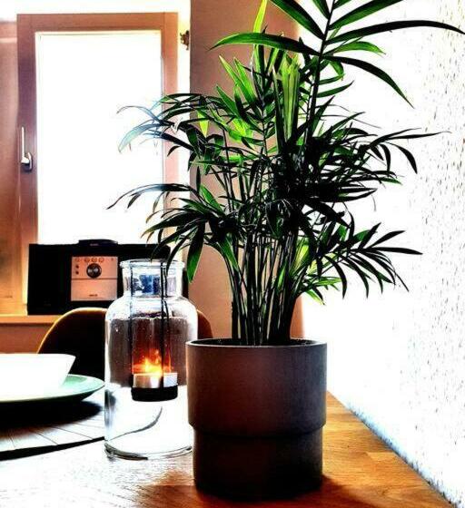 Rostock Hautnah Erleben   Schöne Maisonette 2og